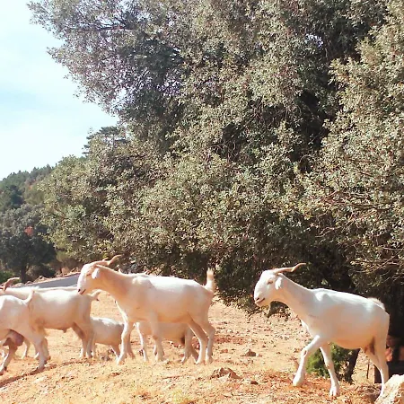 La Torreta * Cazorla